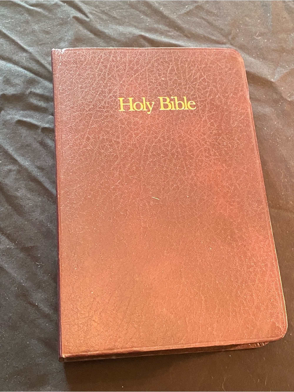 Holy Bible - Burgundy Faux Leather Cover